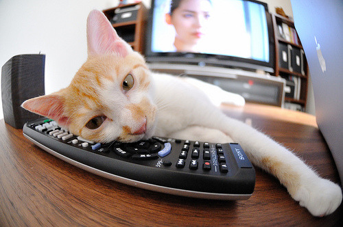 教科书对决!伦纳德攻防一体终结奇才国王之战